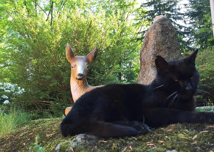 Dom Lidia Ferienhaus Schreiberhau