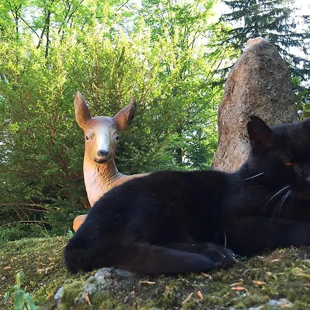 Dom Lidia Holiday home Szklarska Poreba